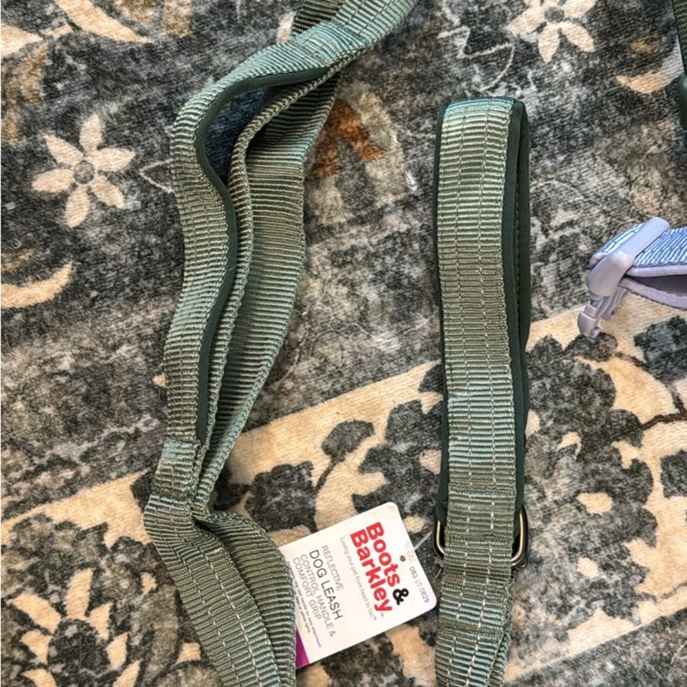 Boots & Barkley Teal Dog Leash
